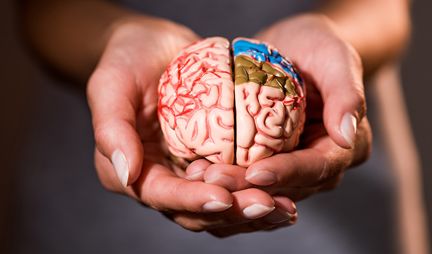 Cognitive miser: il cervello è un avaro cognitivo